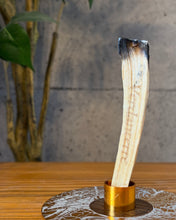 画像をギャラリービューアに読み込む, PALO SANTO HOLDER (Gold)
